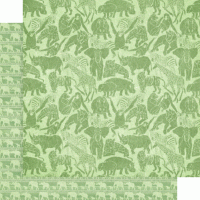 Graphic 45 Wild & Free 12x12 Inch Collection Pack (4502405)